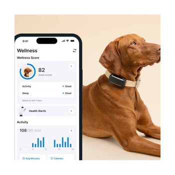 Tractive TRDOG6BK GPS Pet Tracker Σκύλου Black (Τεμάχιο)