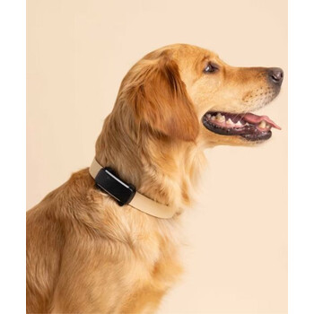 Tractive TRDOG6BK GPS Pet Tracker Σκύλου Black (Τεμάχιο)