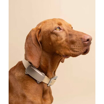 Tractive TRDOG6BR GPS Pet Tracker Σκύλου Brown (Τεμάχιο)