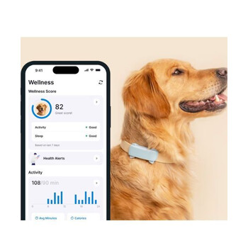 Tractive TRDOG6MT GPS Pet Tracker Σκύλου Mint (Τεμάχιο)