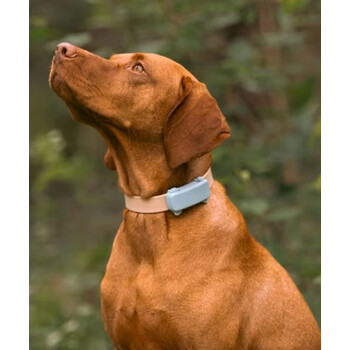 Tractive TRDOG6MT GPS Pet Tracker Σκύλου Mint (Τεμάχιο)