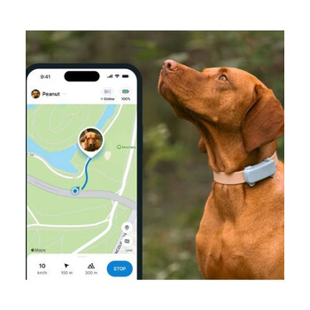 Tractive TRDOG6MT GPS Pet Tracker Σκύλου Mint (Τεμάχιο)