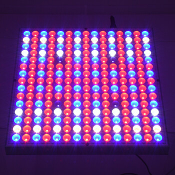 GloboStar® 85954 Grow Light Panel Full Spectrum LED Φωτιστικό Ανάπτυξης Φυτών Θερμοκηπίου SMD 2835 100W 160° AC230V IP54 Εσωτερικού Χώρου για Κάλυψη Επιφάνειας 1m x 1m Πλήρους Φάσματος Φωτισμού
