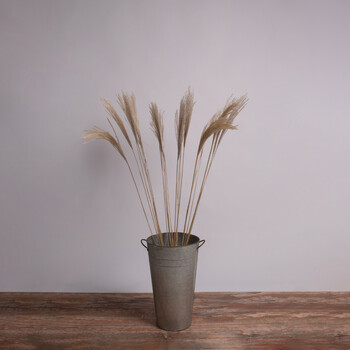 GloboStar® MISCANTHUS 36538 Αποξηραμένο Φυτό Μίσχανθος - Μπουκέτο Διακοσμητικών Κλαδιών Μπεζ Υ120cm