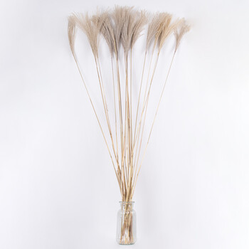 GloboStar® MISCANTHUS 36539 Αποξηραμένο Φυτό Μίσχανθος - Μπουκέτο Διακοσμητικών Κλαδιών Μπεζ Υ140cm
