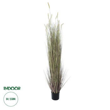 GloboStar® Artificial Garden BEIGE LAGURUS 21104 Διακοσμητικό Φυτό Μπεζ Λαγοουρά Υ180cm