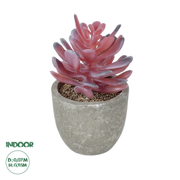 GloboStar® Artificial Garden SUCCULENT CRASSULA POTTED PLANT 21015 Διακοσμητικό Φυτό Κρασούλα  Φ7 x Υ11,5cm