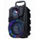 GEMBIRD PORTABLE PARTY SPEAKER WITH LED LIHGT EFFECTS