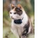 Tractive CAT mini GPS Tracker Γάτας με Κολλάρο Dark Blue (Τεμάχιο)-