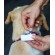 Tractive DOG 4 GPS Παρακολούθησης δραστηριότητας σκύλου White (Τεμάχιο)-