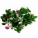 GloboStar® 09010 Τεχνητό Κρεμαστό Φυτό Διακοσμητική Γιρλάντα Μήκους 2.2 μέτρων με 32 X Μικρά Τριαντάφυλλα Μωβ