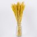 GloboStar® RISEGRASS 36506 Αποξηραμένο Φυτό Ρύζι - Μπουκέτο Διακοσμητικών Κλαδιών Μπεζ - Κίτρινο Υ60cm