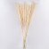 GloboStar® PAMPASGRASS 36510 Αποξηραμένο Φυτό Γρασίδι της Πάμπας - Μπουκέτο Διακοσμητικών Κλαδιών Μπεζ - Εκρού Υ150cm