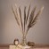 GloboStar® PAMPASGRASS 36512 Αποξηραμένο Φυτό Γρασίδι της Πάμπας - Μπουκέτο Διακοσμητικών Κλαδιών Καφέ - Γκρι Υ100cm