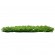 GloboStar® 78424 Artificial - Συνθετικό Τεχνητό Διακοσμητικό Πάνελ Φυλλωσιάς - Κάθετος Κήπος Γιασεμί - Πράσινο Μ60 x Υ40 x Π5cm