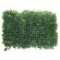 GloboStar® 78425 Artificial - Συνθετικό Τεχνητό Διακοσμητικό Πάνελ Φυλλωσιάς - Κάθετος Κήπος Πεπερομία - Πράσινο Μ60 x Υ40 x Π8cm