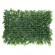 GloboStar® 78426 Artificial - Συνθετικό Τεχνητό Διακοσμητικό Πάνελ Φυλλωσιάς - Κάθετος Κήπος Λέιλαντ - Πράσινο Μ60 x Υ40 x Π9cm