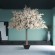 GloboStar® Artificial Garden ALMOND TREE 20163 Τεχνητό Διακοσμητικό Δέντρο Αμυγδαλιά Υ340cm