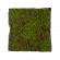 GloboStar® Artificial Garden BRYOPHYTA 20143 Τεχνητό Διακοσμητικό Πάνελ Φυλλωσιάς - Κάθετος Κήπος Βρύα Μ100 x Π100 x Υ5cm