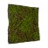 GloboStar® Artificial Garden BRYOPHYTA 20143 Τεχνητό Διακοσμητικό Πάνελ Φυλλωσιάς - Κάθετος Κήπος Βρύα Μ100 x Π100 x Υ5cm