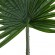 GloboStar® Artificial Garden SERENOA PALM LEAF 20174 Τεχνητό Διακοσμητικό Φύλο Φοινικόδεντρου Σερενόα Βεντάλια Π90 x Υ170cm