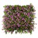 GloboStar® Artificial Garden CYPHEA HYSSOPIFOLIA 20350 Τεχνητό Διακοσμητικό Πάνελ Λουλουδιών - Κάθετος Κήπος σύνθεση Άνθος Κουφέας Μ50 x Π50 x Υ11cm