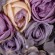 GloboStar® Artificial Garden ROSES STORY 20352 Τεχνητό Διακοσμητικό Πάνελ Λουλουδιών - Κάθετος Κήπος σύνθεση Μωβ & Ροζ Τριαντάφυλλα Μ40 x Π60 x Υ8cm