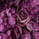 GloboStar® Artificial Garden ROSES STORY 20356 Τεχνητό Διακοσμητικό Πάνελ Λουλουδιών - Κάθετος Κήπος σύνθεση Φουξ & Βυσσινί Τριαντάφυλλα Μ40 x Π60 x Υ10cm