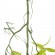 GloboStar® Artificial Garden SALIX MATSUDANA HANGING BRANCH 20411 Τεχνητό Διακοσμητικό Κρεμαστό Φυτό Ιτέα Υ80cm