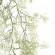 GloboStar® Artificial Garden EUCALYPTUS HANGING BRANCH 20412 Τεχνητό Διακοσμητικό Κρεμαστό Φυτό Ευκάλυπτος Υ90cm