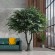 GloboStar® Artificial Garden BANYAN FICUS TREE 20361 Τεχνητό Διακοσμητικό Δέντρο Ινδική Συκιά Φίκος Υ300cm