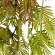 GloboStar® Artificial Garden HANGING FERN 20615 Τεχνητό Διακοσμητικό Κρεμαστό Φυτό Φτέρη Μ30 x Π10 x Υ90cm
