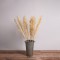 GloboStar® PAMPASGRASS 36509 Αποξηραμένο Φυτό Γρασίδι της Πάμπας - Μπουκέτο Διακοσμητικών Κλαδιών Μπεζ - Εκρού Υ120cm